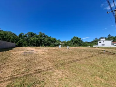 Lote/Terreno para alugar, 362m² no , São Pedro de Alcântara