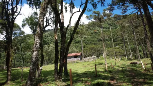 Lote/Terreno à venda, 20000m² no , Urubici