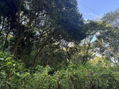 Lote/Terreno à venda, 552m² no , Guaramiranga