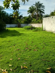 Fazenda/Sítio com 2 Quartos à venda, 250m² no Vila de Abrantes (Abrantes), Camaçari
