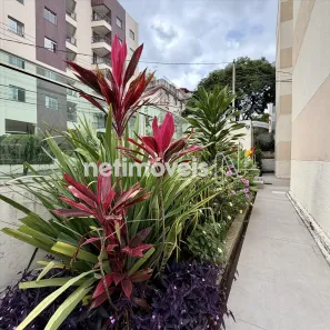 Apartamento com 2 Quartos à venda, 50m² no Caiçara-Adelaide, Belo Horizonte