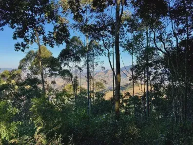 Fazenda/Sítio à venda, 30000m² no , Gonçalves