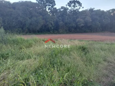 Fazenda/Sítio com 1 Quarto à venda, 28000m² no Colônia Murici, São José dos Pinhais