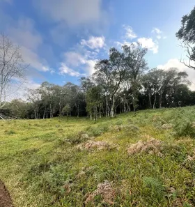 Lote/Terreno à venda, 6283m² no São Pelegrino, Caxias do Sul