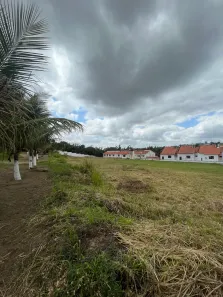 Lote/Terreno à venda, 3000m² no Centro, Lagoa Seca