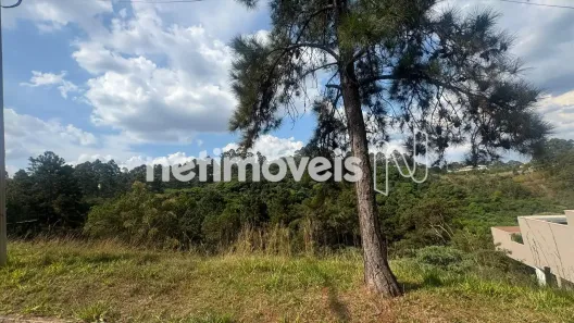 Lote/Terreno à venda, 892m² no Alphaville - Lagoa dos Ingleses, Nova Lima