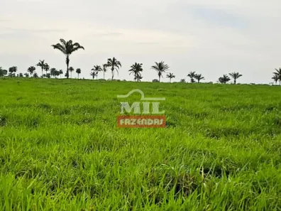 Fazenda/Sítio à venda, 500m² no Setor Central, Araguaína
