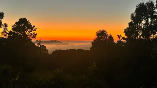 Fazenda/Sítio com 1 Quarto à venda, 7388m² no Travessão, Dois Irmãos