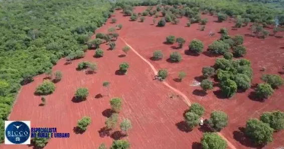 Fazenda/Sítio com 3 Quartos à venda, 66m² no Setor Central, Mara Rosa