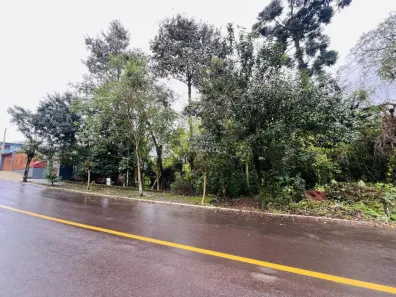 Lote/Terreno à venda, 1632m² no Farroupilha, Ivoti