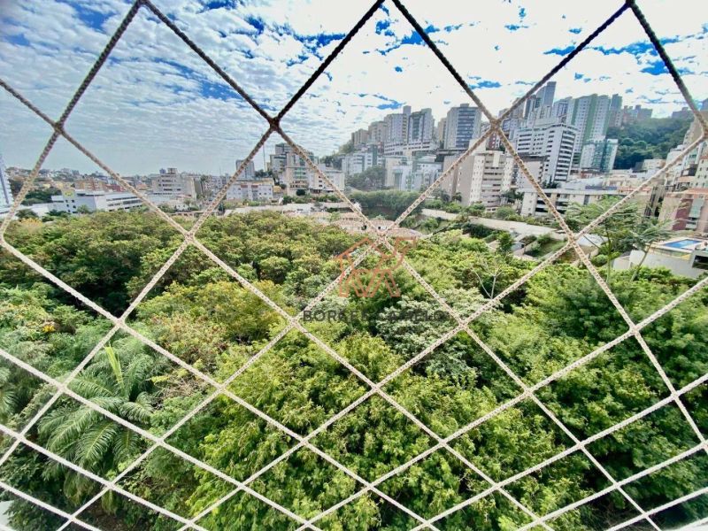 Foto 51