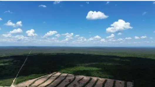 Fazenda/Sítio com 1 Quarto à venda, 10m² no , Barra