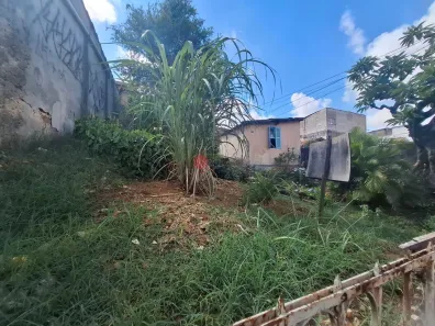 Lote/Terreno à venda, 500m² no Vila Invernada, São Paulo