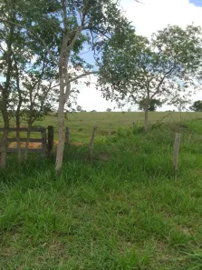 Fazenda/Sítio à venda, 300000m² no , Rochedo