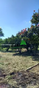 Fazenda/Sítio à venda, 1000m² no Bairro dos Pires, Limeira