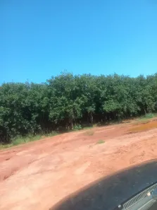 Fazenda/Sítio com 4 Quartos à venda, 266200m² no Centro, Nova Canaã Paulista