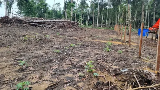 Lote/Terreno à venda, 1720m² no Tarumã-Açu, Manaus
