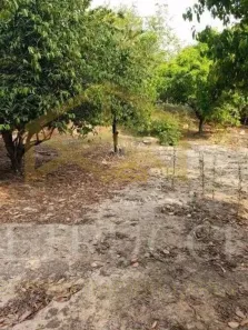 Lote/Terreno à venda, 1000m² no Recanto Campestre Viracopos Gleba 2, Indaiatuba