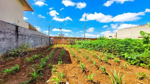 Lote/Terreno à venda, 252m² no Jardim Dona Regina, Santa Bárbara D'Oeste