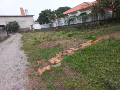 Lote/Terreno à venda, 8041m² no Serraria, São José