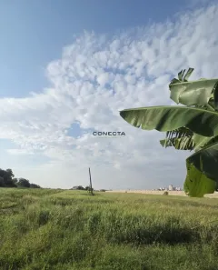 Lote/Terreno à venda, 7600m² no Condomínio Royal Golf Residence, Londrina