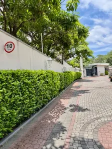 Casa de Condomínio com 4 Quartos para alugar, 300m² no Jardim Panorama, São Paulo