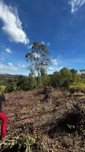 Lote/Terreno à venda, 1490m² no Samambaia, Mairiporã