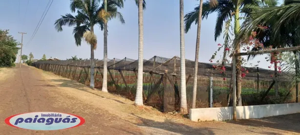 Fazenda/Sítio à venda, 6000m² no Marialva, Marialva