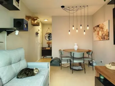 Apartamento com 3 Quartos à venda, 67m² no Vila Moreira, São Paulo