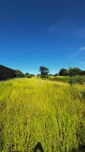 Fazenda/Sítio à venda, 2500m² no Recanto Bom Jardim, Franca