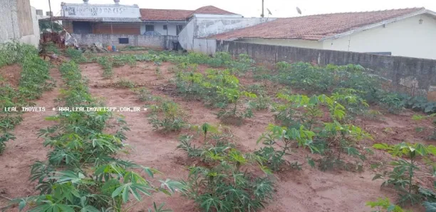 Lote/Terreno à venda, 363m² no Jardim Estoril, Presidente Prudente