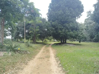 Fazenda/Sítio com 3 Quartos à venda, 310000000m² no , Rio Preto da Eva