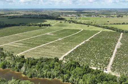 Casa com 1 Quarto à venda, 41000m² no Paraguai, Porto Seguro
