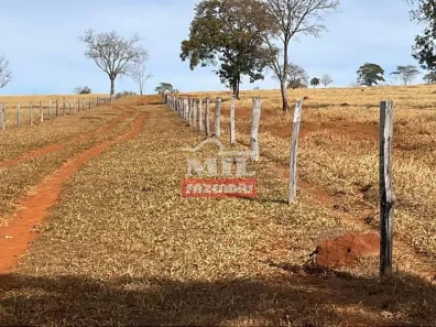 Fazenda/Sítio à venda, 500m² no , Caiapônia