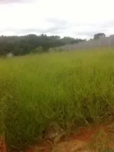 Lote/Terreno à venda, 845m² no Nossa Senhora da Conceição, São João Del Rei