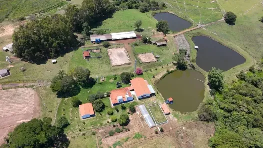 Fazenda/Sítio com 5 Quartos à venda, 229900m² no , Santo Antônio da Alegria