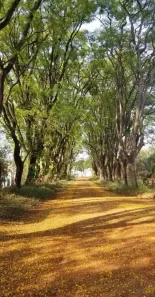 Fazenda/Sítio à venda, 1000m² no Centro, Boituva