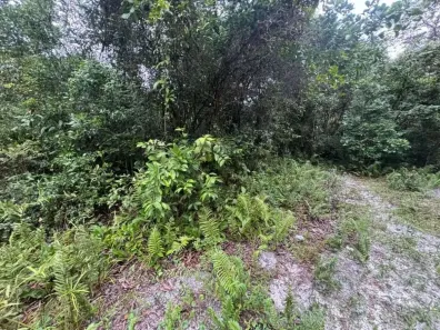 Lote/Terreno à venda, 182m² no Gaivota (Interior), Itanhaém