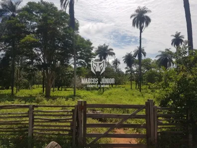 Fazenda/Sítio à venda, 1m² no , Brasília de Minas