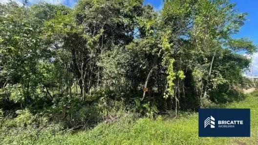 Lote/Terreno à venda, 260m² no Jardim das Palmeiras, Itanhaém