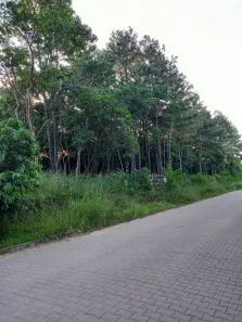Lote/Terreno à venda, 279m² no Campestre, São Leopoldo