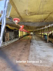 Fazenda/Sítio à venda, 250m² no Área Rural de Itapetininga, Itapetininga