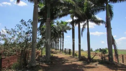 Fazenda/Sítio à venda, 3m² no , Doutor Camargo