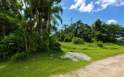 Lote/Terreno à venda, 434m² no Praia de Pontal do Sul, Pontal do Paraná