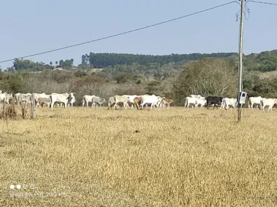 Fazenda/Sítio com 2 Quartos à venda, 50m² no , Angatuba