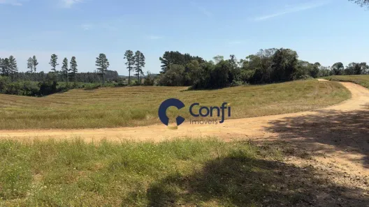 Lote/Terreno à venda, 301778m² no , Mandirituba