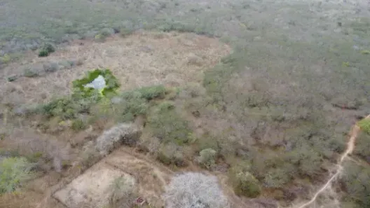 Fazenda/Sítio com 3 Quartos à venda, 2200000m² no , Bento Fernandes