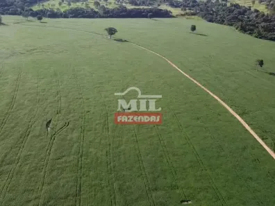 Fazenda/Sítio à venda, 500m² no Centro, Anápolis