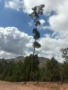 Lote/Terreno à venda, 1000m² no Estacao de Moreiras, Mairinque