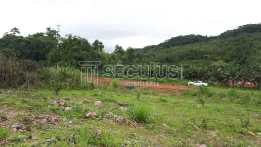 Fazenda/Sítio à venda, 17000m² no BRACINHO, Schroeder